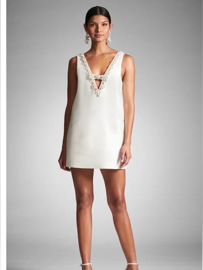 Sachin & Babi Sylvie Dress In Ivory